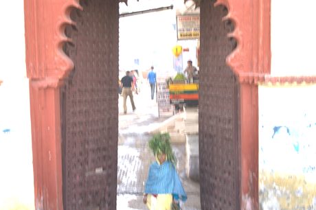 Photo 44