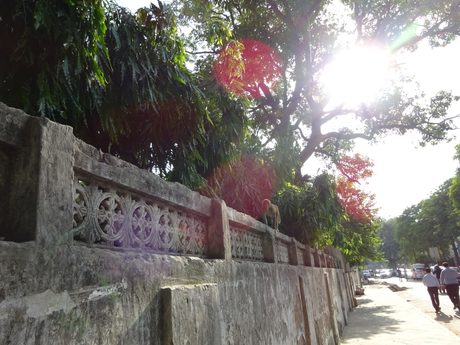 Photo 411