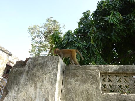 Photo 413