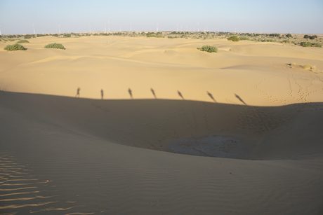 Photo 42