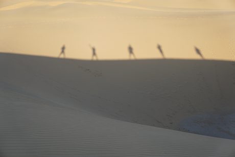 Photo 43