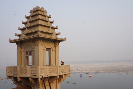 Photo 40