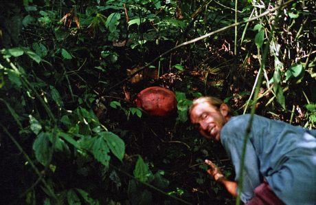 Photo 21