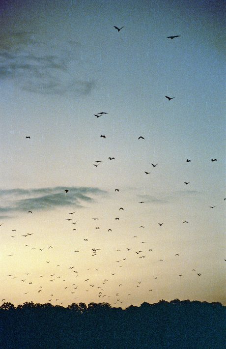 Photo 24