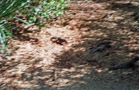 Photo 31