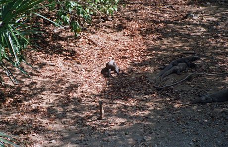 Photo 32