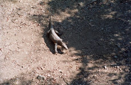 Photo 34