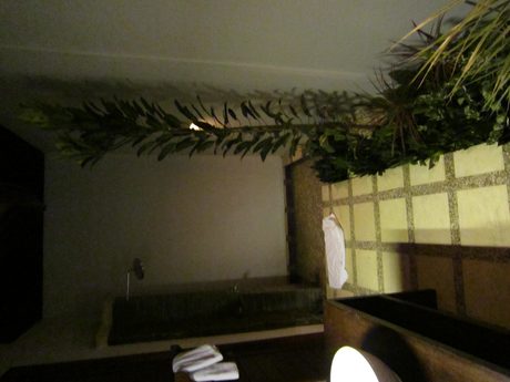 Photo 206