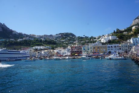 Photo 46