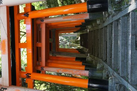 Photo 33