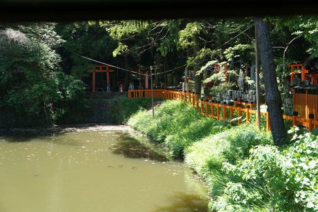 Photo 38