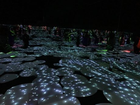 Photo 32