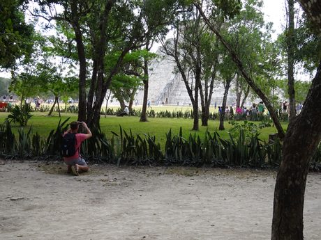 Photo 45