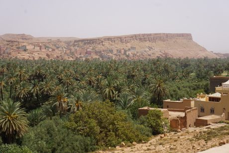 Photo 40