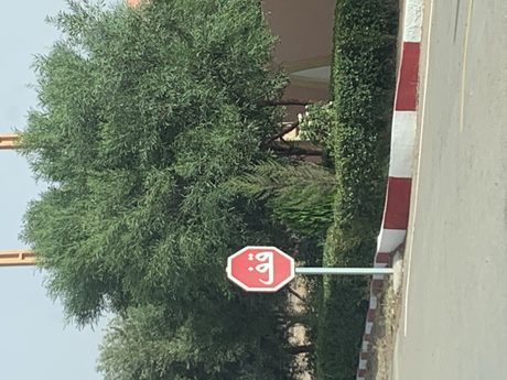 Photo 113