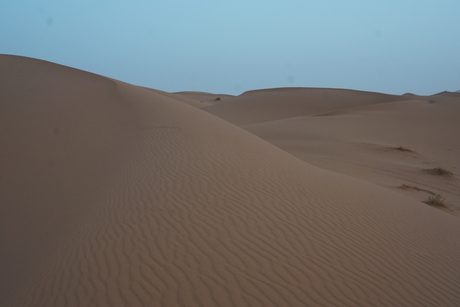 Photo 37