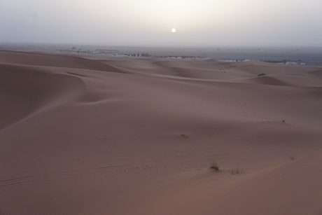 Photo 45