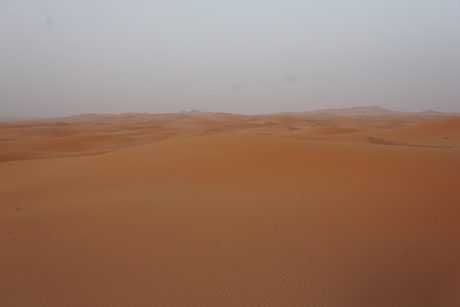 Photo 50