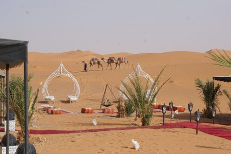 Photo 100