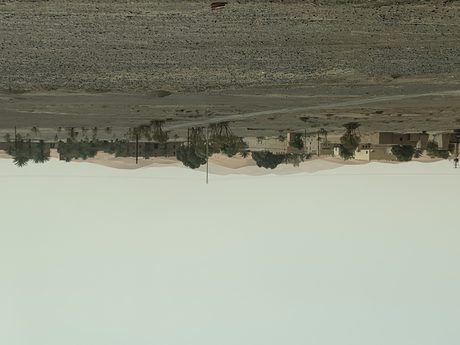 Photo 201