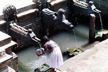 Photo 40