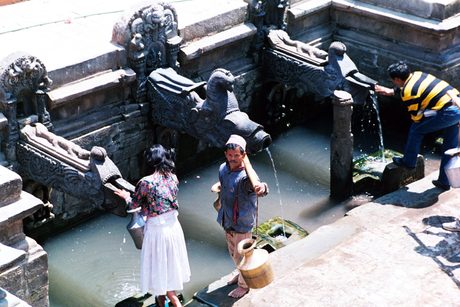 Photo 41