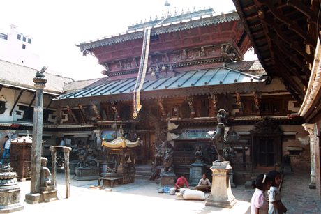 Photo 44