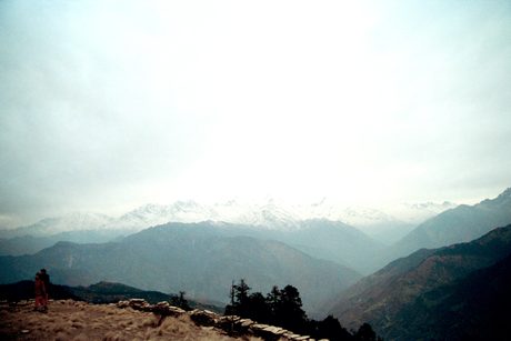 Photo 46