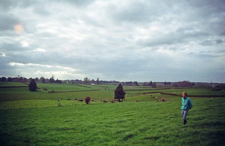 Photo 25