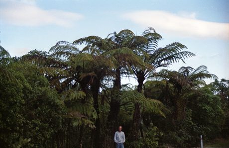 Photo 40