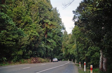 Photo 46