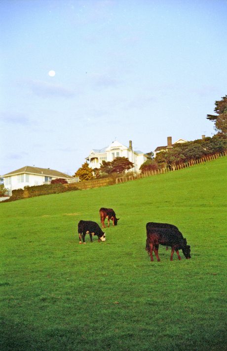 Photo 48
