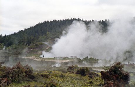 Photo 66