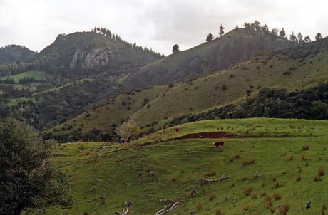 Photo 110