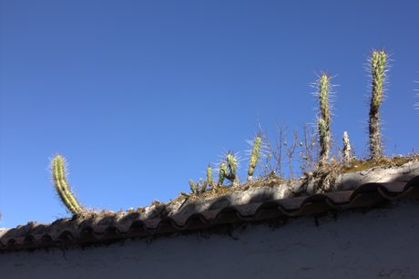Photo 50