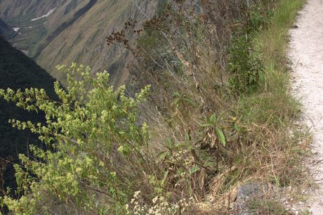 Photo 901