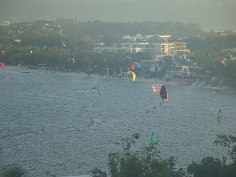 Photo 41