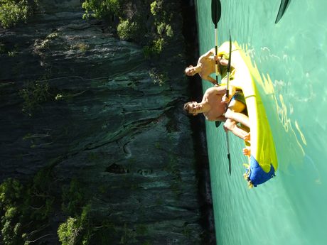 Photo 110