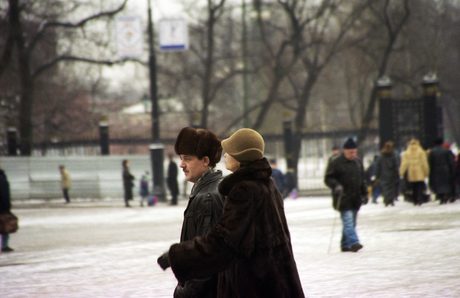 Photo 46
