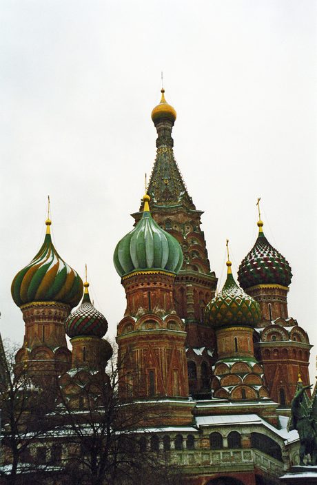 Photo 51