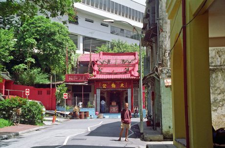 Photo 11