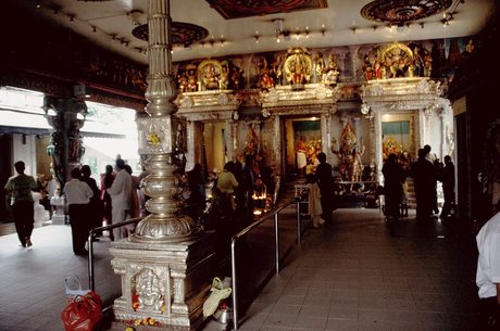 Photo 44