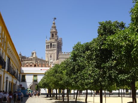 Photo 47