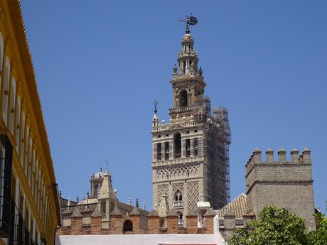 Photo 48
