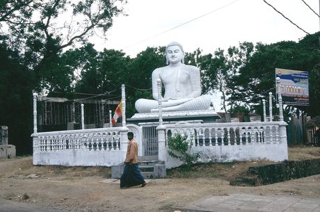 Photo 30