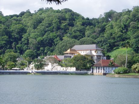 Photo 99