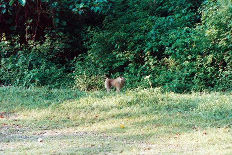 Photo 22