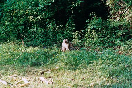 Photo 25