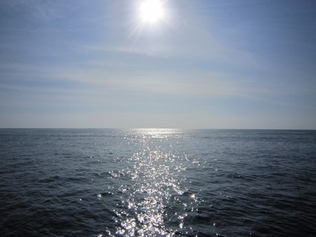 Photo 253