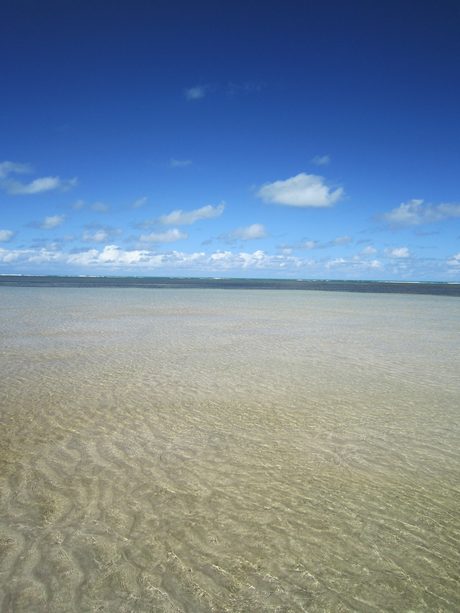 Photo 44